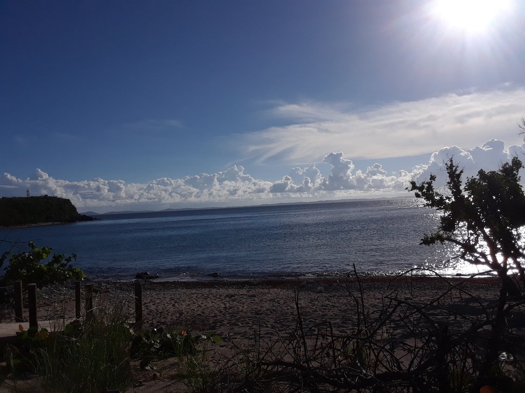IslandMom775's tweet photo. There is no place like home. Almost 80 days without power and we still standing. Wishing my @packers the best tomorrow. #GoPackGo #culebra2017 #strongerthanever #blessed https://t.co/SKh40jWs2R