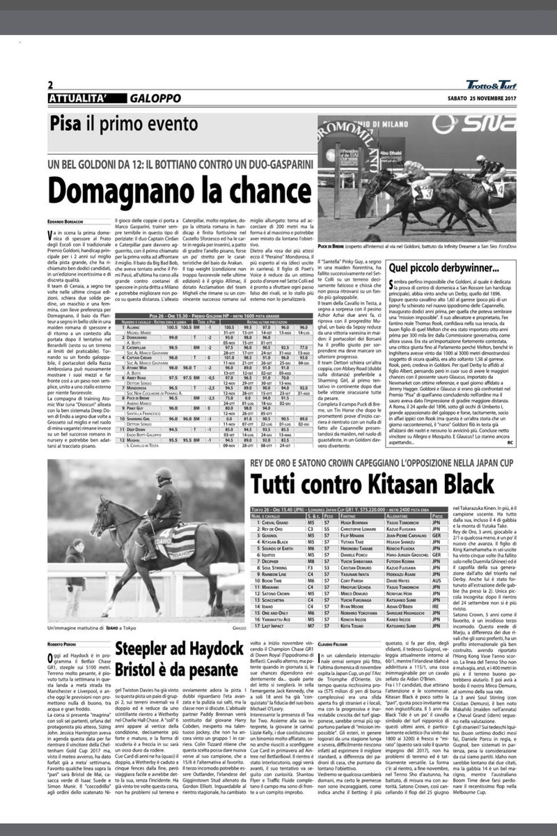 Domagnano #planteur <a href="/AlShaqabRacing/">Al Shaqab Racing</a> #italy #race #horses #razzaambrosiana