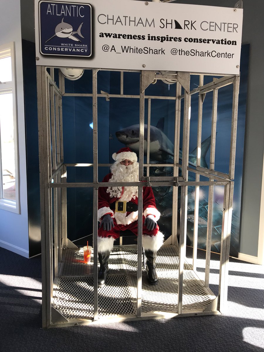 Shark Center tweet media