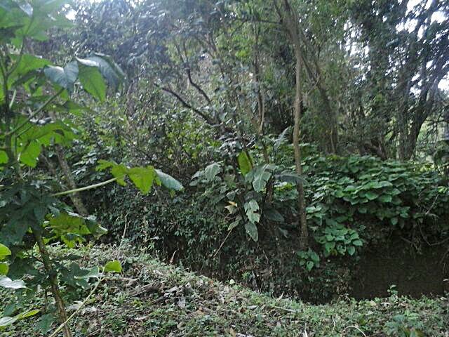 necotum.com/terrenos-en-ve…
Lote a la venta en ALTOS DE JARAMILLO, BOQUETE