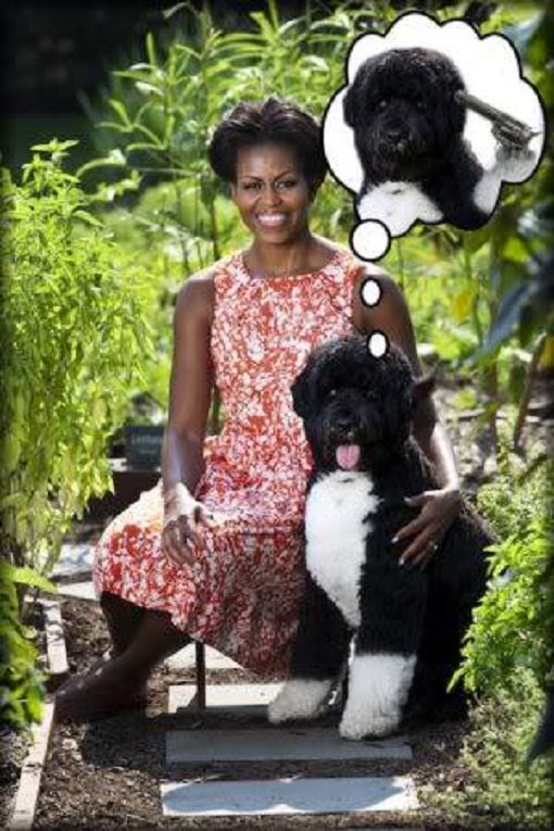 hotshot1_'s tweet photo. @AD_WHITMAN @POTUS @FLOTUS Look at her family ! All shit stains ! https://t.co/04tL9gSw6h