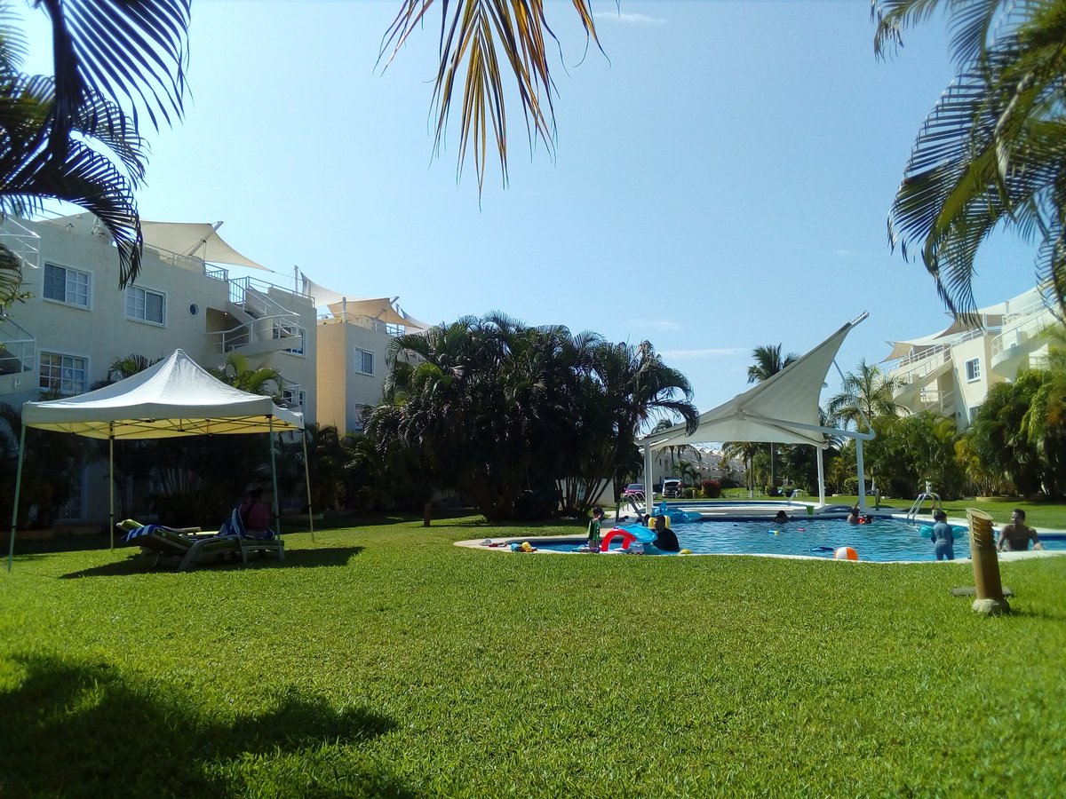 forestal_manuel's tweet photo. #Acapulco https://t.co/QCHW3OslMv