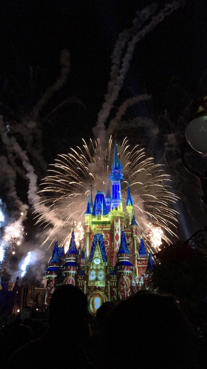 MeeganAnneee's tweet photo. Disney castle is so pretty 😛😍 https://t.co/GbDzQzsDGQ