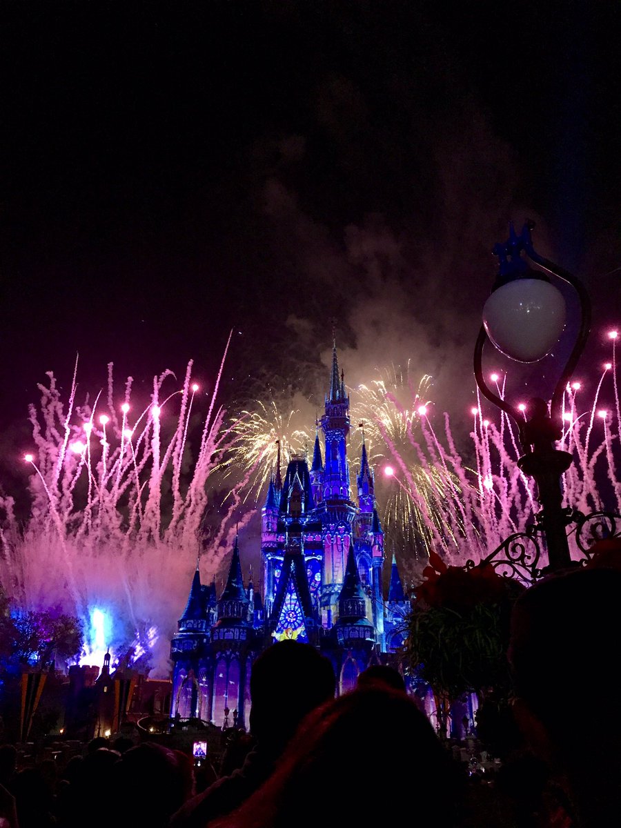 MeeganAnneee's tweet photo. Disney castle is so pretty 😛😍 https://t.co/GbDzQzsDGQ