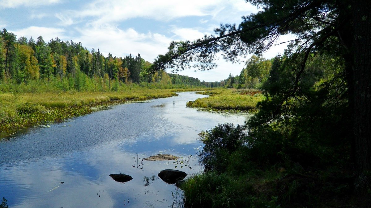 AmericanForests's tweet photo. "Forest Service lands are the largest source of municipal water in the U.S., serving 66+ million people in 3,400 communities in 33 States." #ForestFacts RT @forestservice https://t.co/UktV6ZOEAF