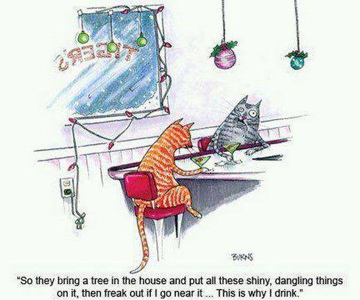 Cat Food Breath tweet media