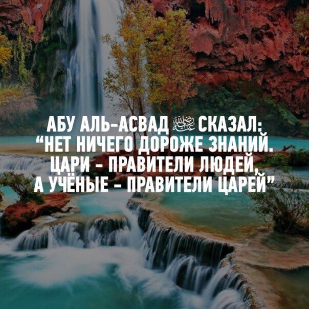 mirzaev_7's tweet photo. https://t.co/jdCjPBBSSe