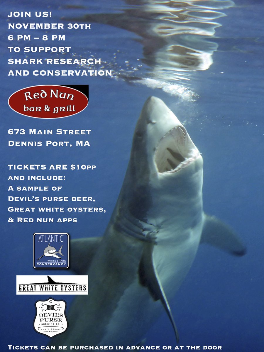 Atlantic White Shark Conservancy tweet media