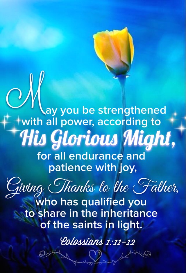 PeaceWarriorOne's tweet photo. #Faith #Endure #Persevere #DoNotQuit #DoNotAbdicate #Patience #Believe #FaceSetLikeFlint #IgnoreLies #Diligence #Blessing #Restoration #Exaltation #NoDoubt #NoCompromise 🙏🙌💗💗💗💪💪💪🙌🙏 https://t.co/zNqGQR4isM