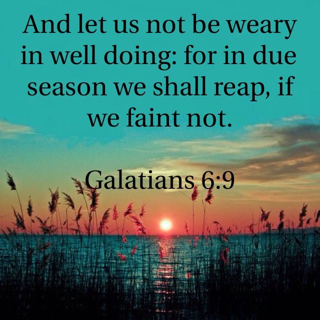PeaceWarriorOne's tweet photo. #Faith #Endure #Persevere #DoNotQuit #DoNotAbdicate #Patience #Believe #FaceSetLikeFlint #IgnoreLies #Diligence #Blessing #Restoration #Exaltation #NoDoubt #NoCompromise 🙏🙌💗💗💗💪💪💪🙌🙏 https://t.co/aKWwWojtLR