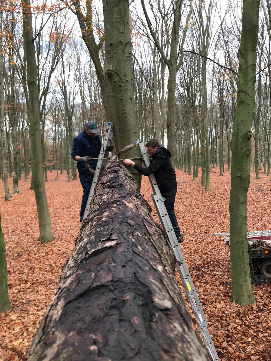 SurvivalBeltrum's tweet image. Weer een mooie bouwdag achter de rug. De nieuwe Vlinderlaan krijgt langzaam aan vorm. Onderdeel vh parcours op de Middellange en Lange run.
#Netje #Balkje #Touwtje
#Survivalrun
#Beltrum
#voorbereiding
Meer foto's: facebook.com/media/set/?set…