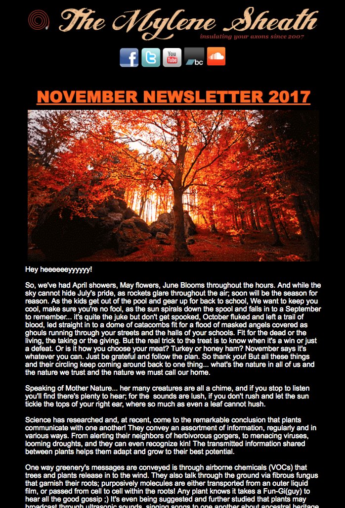 November Newsletter for those who didn't have it in their inbox: conta.cc/2zo8FTD HAPPY HOLIDAYS! <3