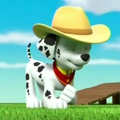 MarshallsNo1Fan's tweet photo. Today is my birthday!!!!!!! 
@PawPatrolNews @SpinMaster @thatdrewdavis https://t.co/bWRB4TxVrP