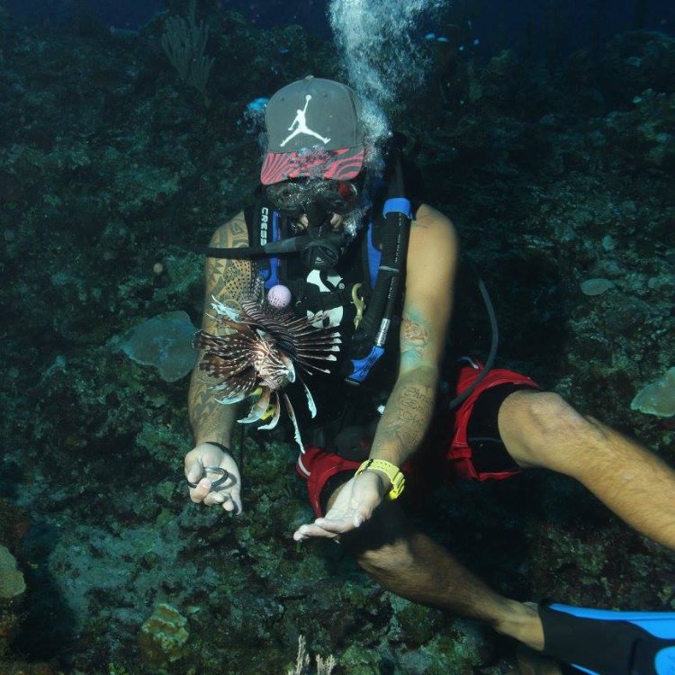 GDCDive's tweet image. Every experience comes with a story to tell. yelp.com/biz/gulfport-d…