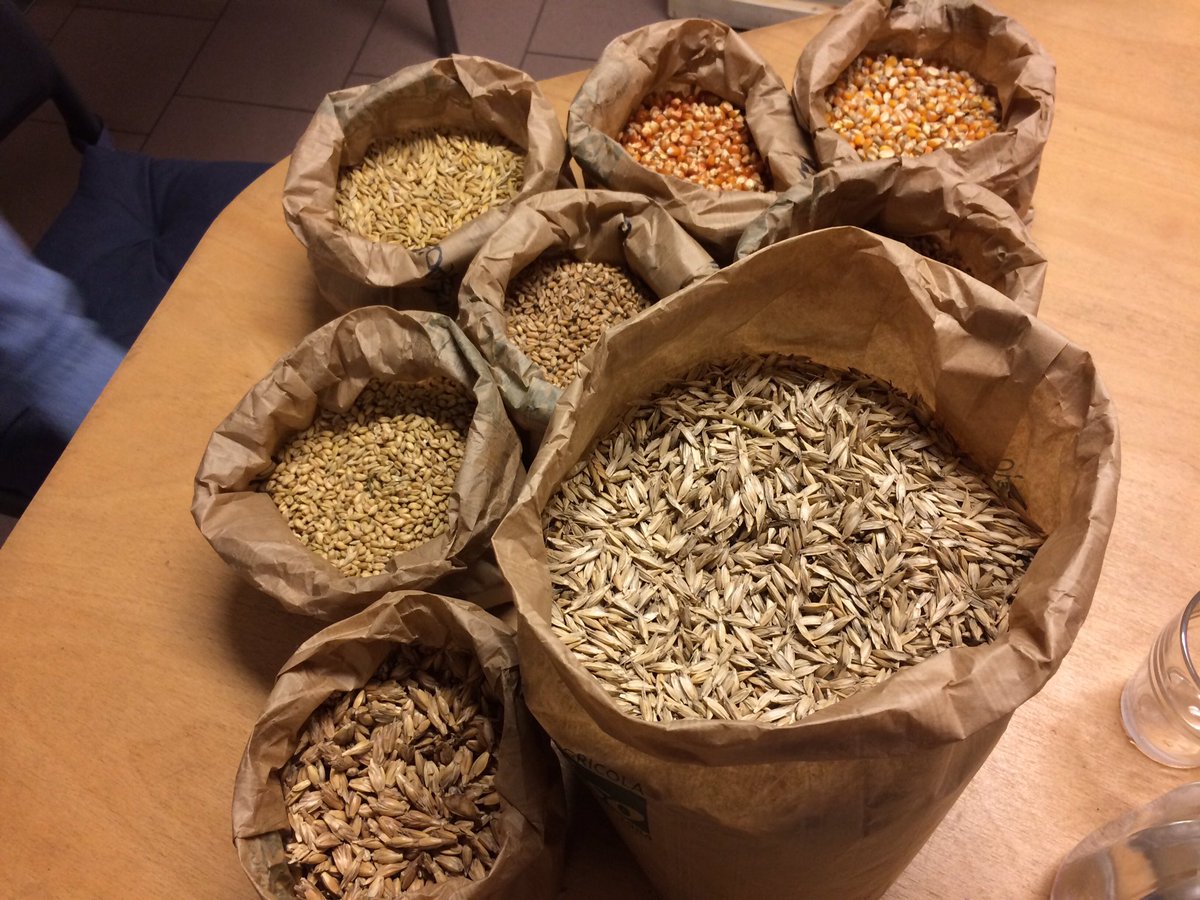 ilmiomondoverde's tweet photo. Il #grano #antico #farro #monococco riscoperta del grano a noi sconosciuto e non raffinato pieno di #proteine buone. https://t.co/UrkiEbgdLu