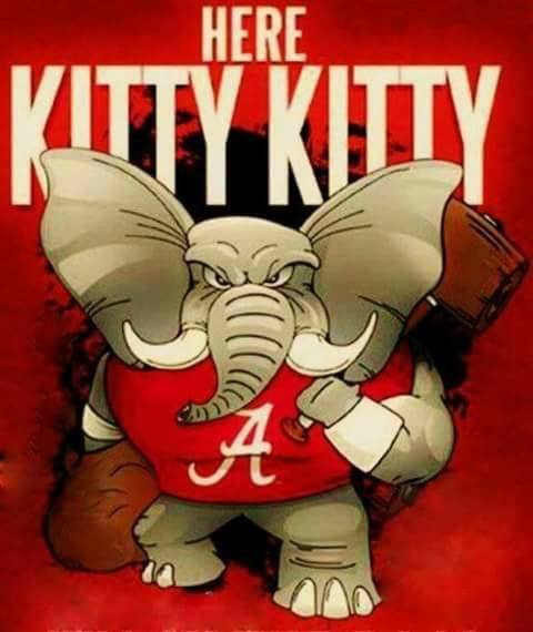 StephenGordon's tweet photo. Roll Tide!
#RTR #IronBowl https://t.co/8olDEYHvmV
