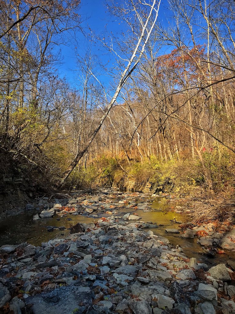 LaurieLhahn's tweet photo. @Local12Scott @Local12 Perfection @greatparks #sharonwoods https://t.co/FHsbpRSf5g