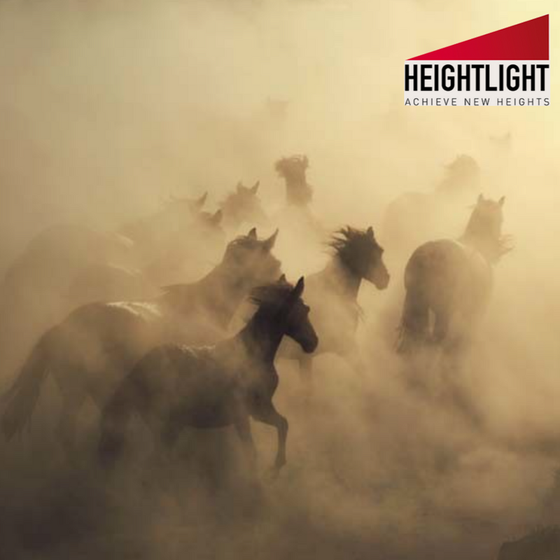 HeightLightTech's tweet photo. Achieve accurate and calibrated height measurement with HeightLight 

#AchieveNewHeights https://t.co/qcmp1EqvjM