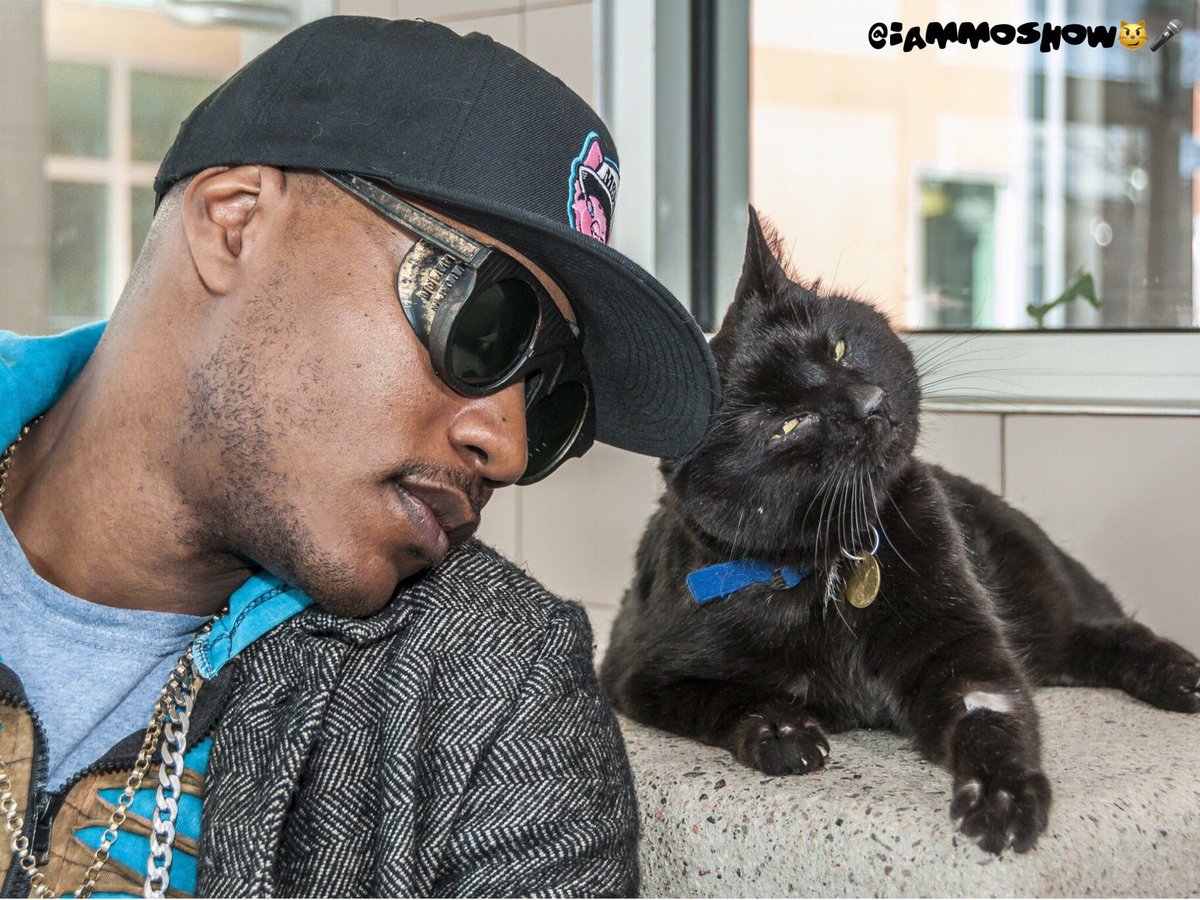 iammoshow's tweet photo. Black Cats are the least to be adopted due to them being plain black, stereotypes and how they’ve been shown in the light for years. But The Cat Rapper is changing that. Because he also knows what it’s like.. Retweet this if you support our fight https://t.co/0SSoxEzRC3