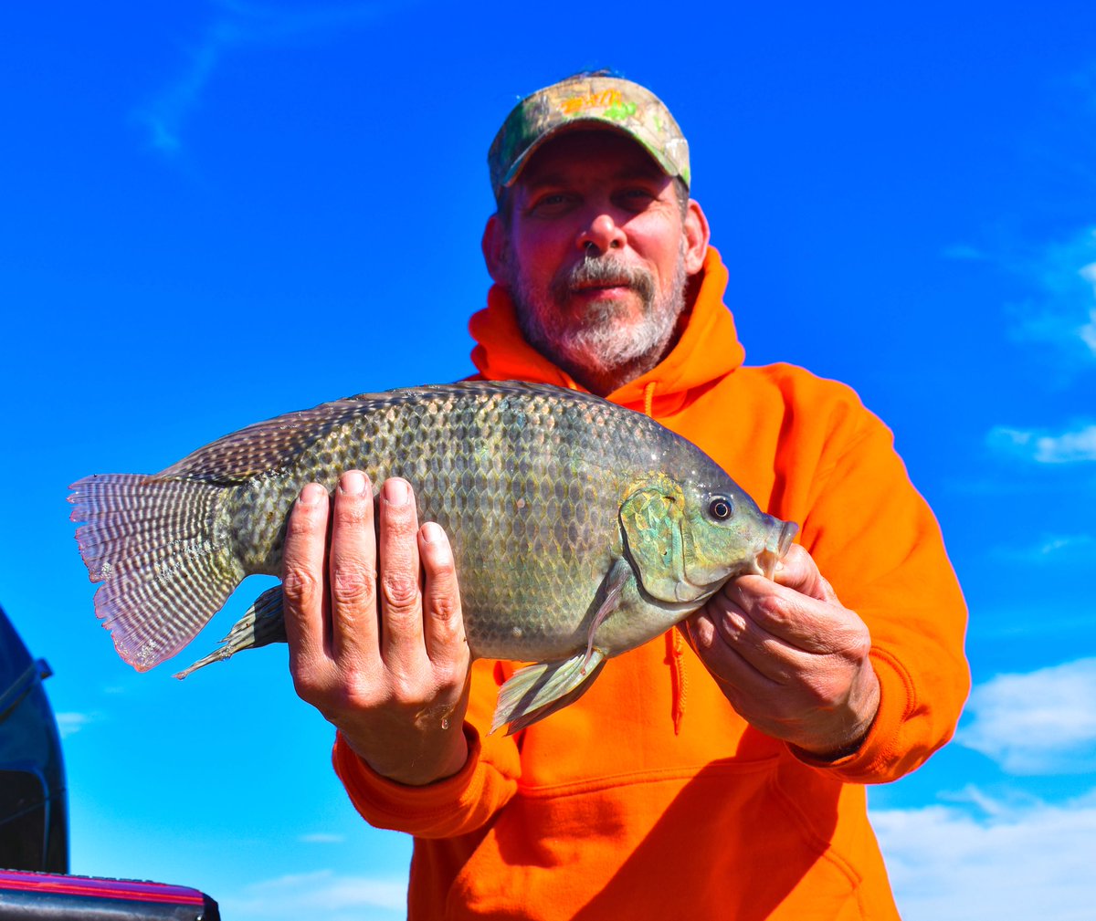 BassoTroy's tweet photo. One large tilapia caught on a @BnMPoles  Crappie wizard rod! 3.2 pounds https://t.co/8DQGMIJhgT
