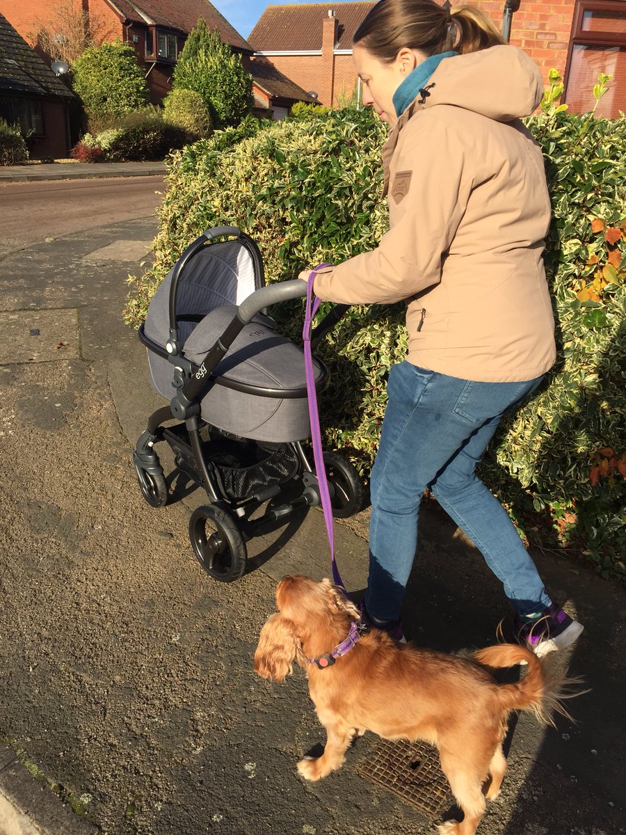 RubyTheCav's tweet photo. Out and about today. #rubyfromtheblock and we let #theboyorson come too. Was quite nice actually everyone gets out the way with this massive path hogger in tow! π https://t.co/MLufEABsEX