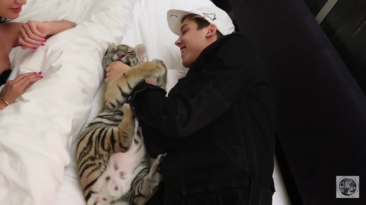 luvmylawley's tweet photo. GO CHECK OUT @TheMattEspinosa
NEW VLOG ๐ฅ๐ฅ
HE'S PLAYING WITH BABY TIGERS ๐
#MattsNewVideo ily โค
https://t.co/tbmzIueYJp https://t.co/jEt28CrNGk