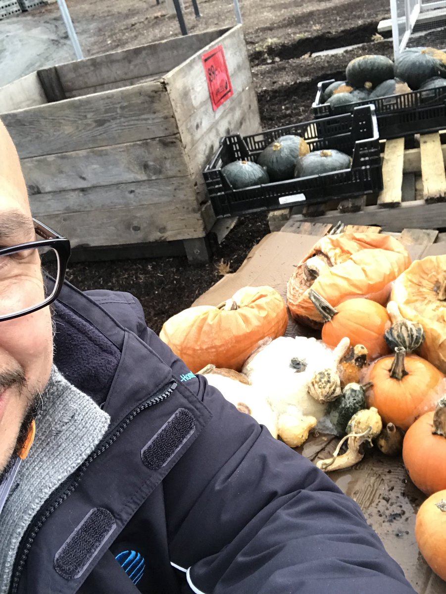 #IHXTurkeyHunt The last of the pumpkin patch!