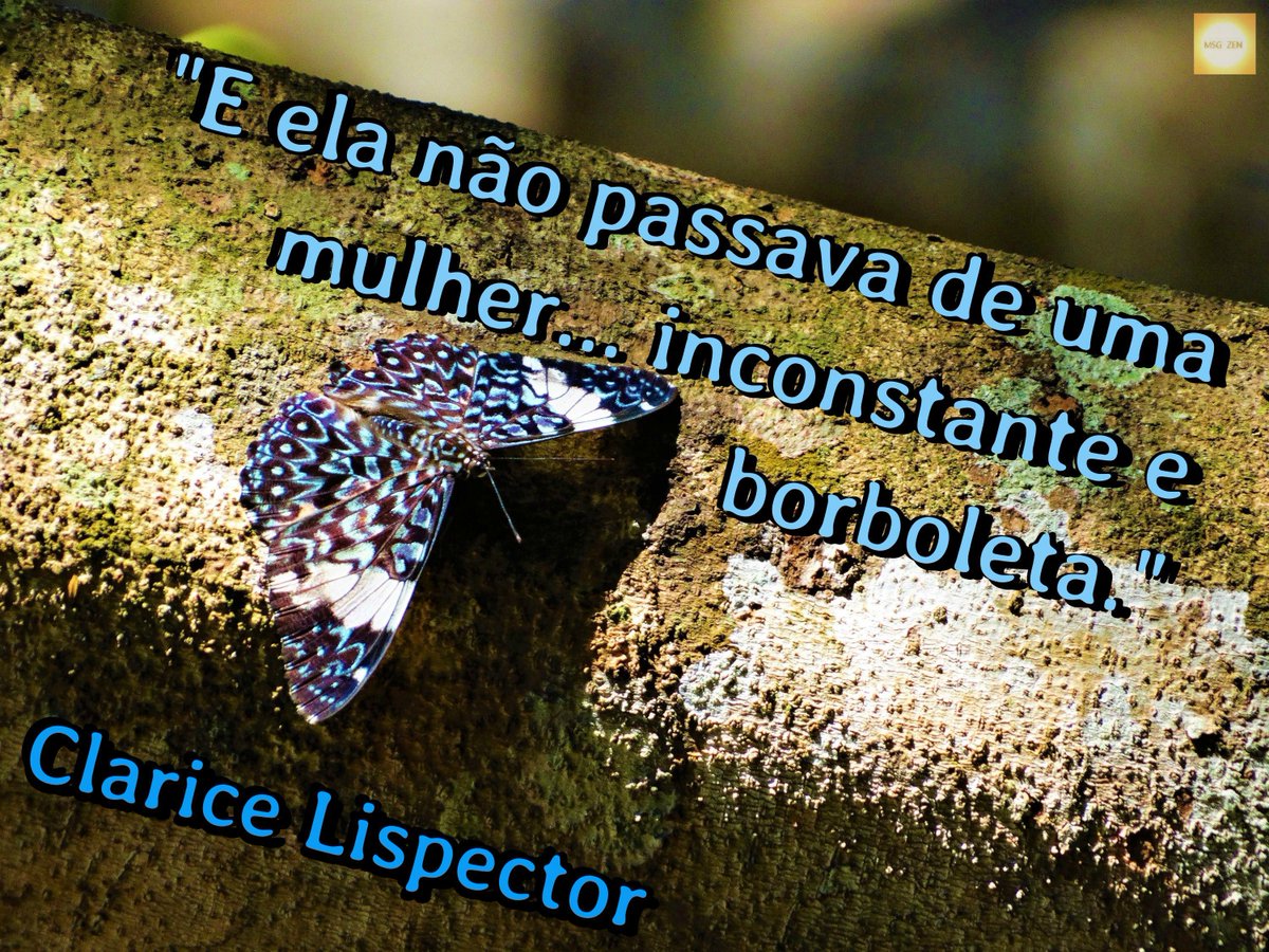 MensagemZen's tweet photo. Ela não passava de uma #mulher... inconstante e #borboleta. #ClariceLispector
📸#BorboletaEstaladeira
Saiba+sobre a #FotoMsg em https://t.co/W9c6T8rDYG🦋
#DiaInternacionalParaEliminacaoDaViolenciaContraAsMulheres #SabadoDetremuraSDV #SDV #Natureza #Fotografia #Brasil #Photography https://t.co/vFG1SvFzLy