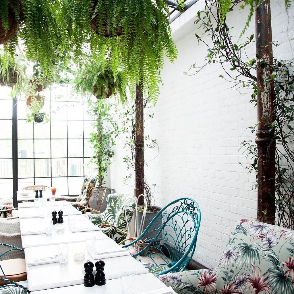 bandhgroup's tweet photo. All the cool kids want to be in our (plant) gang. #botanicalpickmeup .
.
.
.
.
.
#clerkenwell #hangingplants #london #lunch #pretheatre #posttheatre #bourneandhollingsworth #clerkenwell #vintagefurniture #fadedglamour #greenhouse #interior123 #interiorgo… https://t.co/6gNZQ5jYPR https://t.co/vxs0xUBrJs