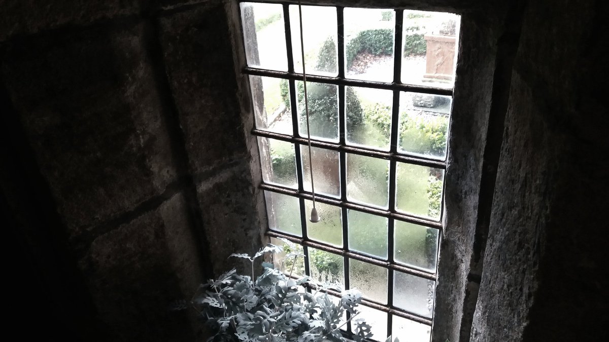SallyMortemore's tweet photo. #AnotherWindow https://t.co/5LgqpqMJyB