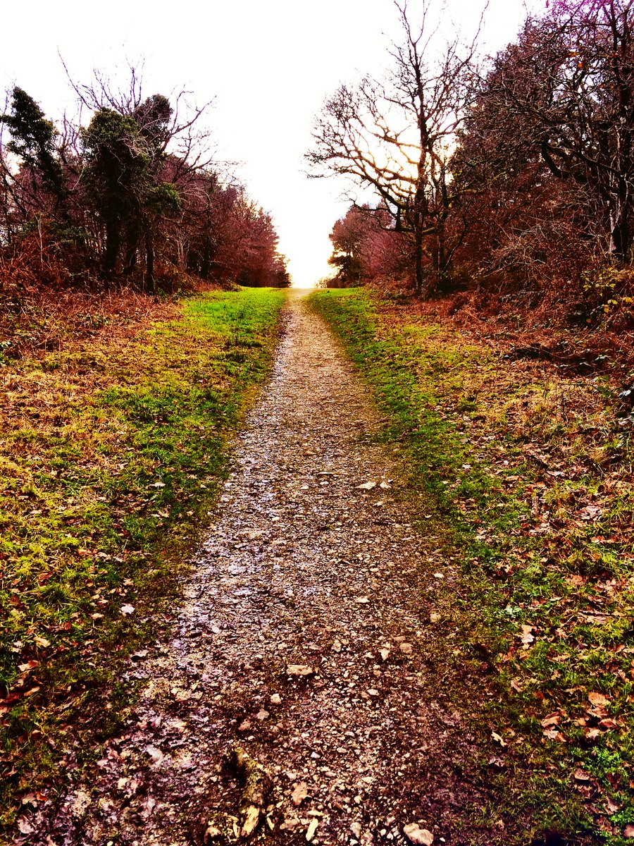 MoreDudley's tweet photo. On the warpath. Literally.
The ancient #herepath military tracks thru the @BlackdownsAONB offer incredible views over #Somerset  
@SomersetLife https://t.co/Y2gxTrK2xY