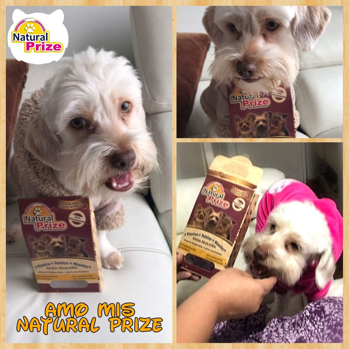 Natural_Prize's tweet photo. #Doglover 😍 #Petlover #Catlover 🐈 los invitamos a probar un Snack diferente para los engreídos #NaturalPrize ❤️ #OrgullososDeSerPeruanos 🇵🇪 https://t.co/L7TJZQF9zK