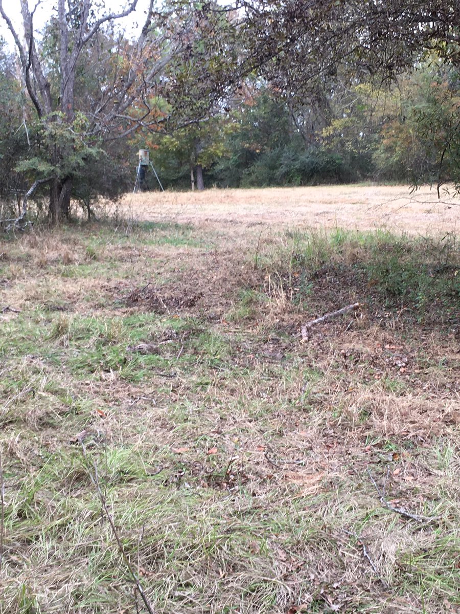 poporn501's tweet photo. Time to fill the freezer!! #Slaythegame #Whitetailvoodoo #Purewhitetail #Huntingfaith. https://t.co/ZqZiVVstyG