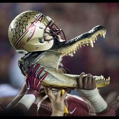 Jrklb843's tweet image. #1fsu #GoNoles #seminoles #FSUvsUF #FSU