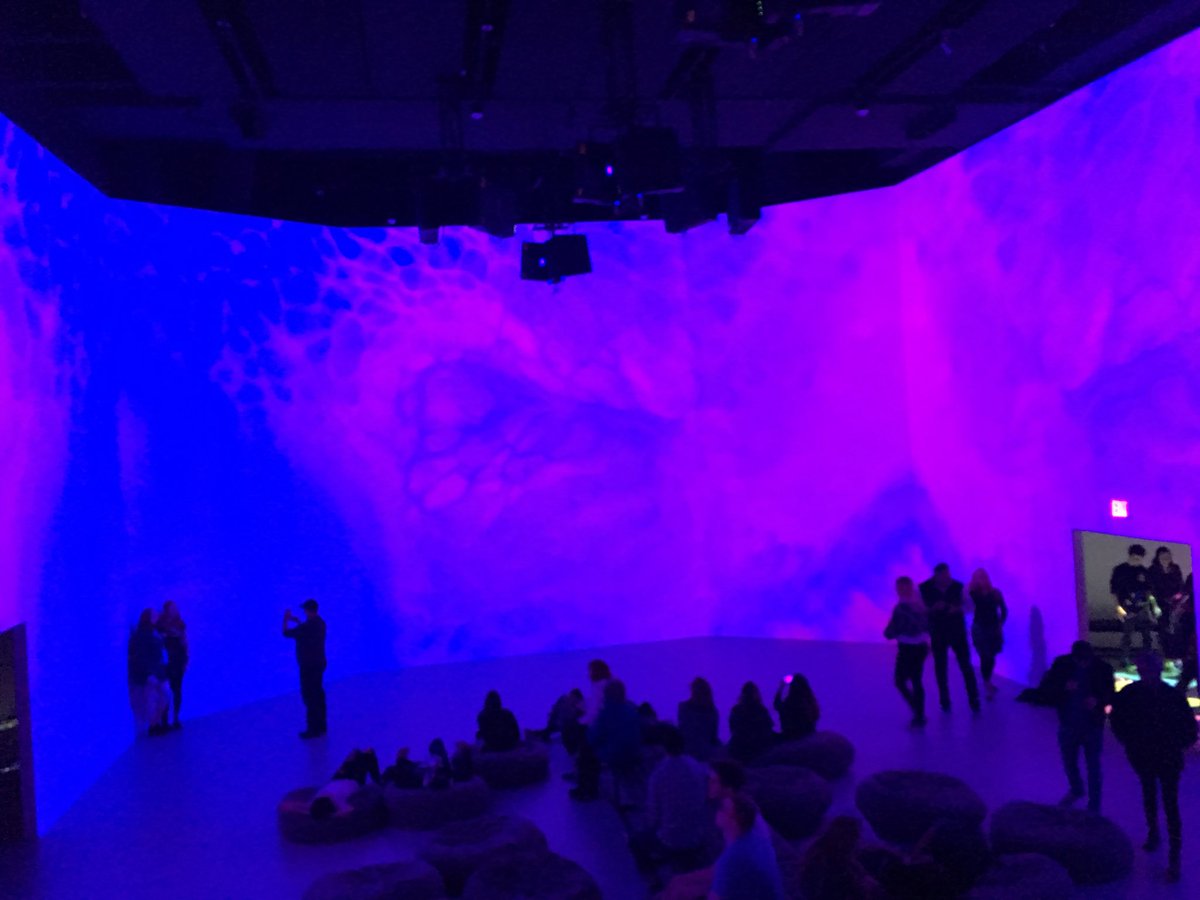 amymelrose's tweet photo. Wow! @artechouse in DC for #kingdomofcolors extended through Wednesday! Evening and weekday daytime passes available online. https://t.co/uHNl2fpPBB https://t.co/6cuHepv0sD