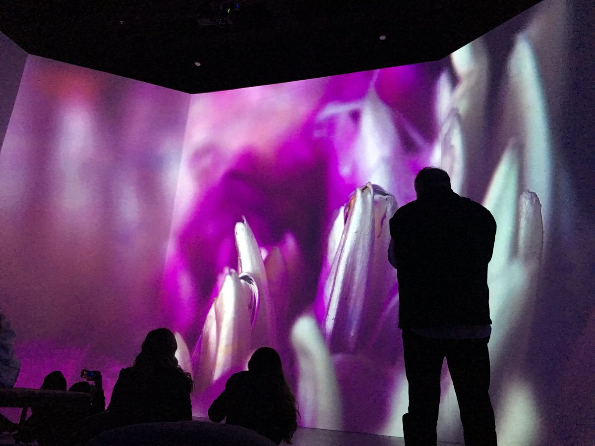 amymelrose's tweet photo. Wow! @artechouse in DC for #kingdomofcolors extended through Wednesday! Evening and weekday daytime passes available online. https://t.co/uHNl2fpPBB https://t.co/6cuHepv0sD