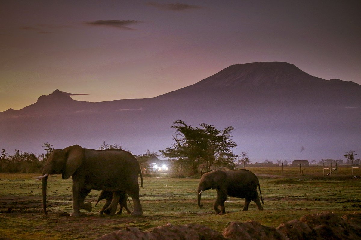 And here it is...
... the splendour of Africa. <a href="/EastAfricanSC/">The East African Safari Classic Rally</a> is a rally like no other.