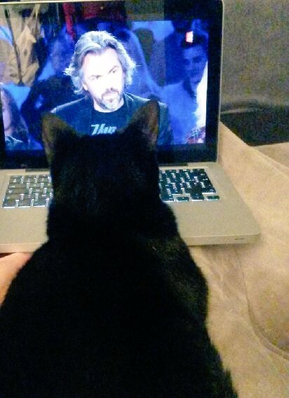 hadakohlanta17's tweet photo. Mon chat et moi sommes fans de toi 🖒🖒🖒🖒 très bonne réparti@aymericcaron https://t.co/tWCTB7Sn5w