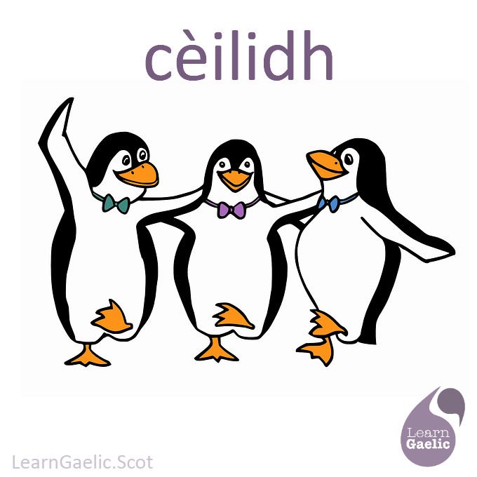 LearnGaelicScot's tweet photo. CÈILIDH
pronunciation https://t.co/Qws3CeRgyC

Dè na planaichean a th' aig a h-uile duine an ath-oidhche? Taigh-cèilidh? Consairt? Rudeigin nas sàmhaiche?

What's everyone's plans for tomorrow night? A ceilidh? A concert? Something quieter?

#Gàidhlig #Gaelic https://t.co/1SpLgpxiLl