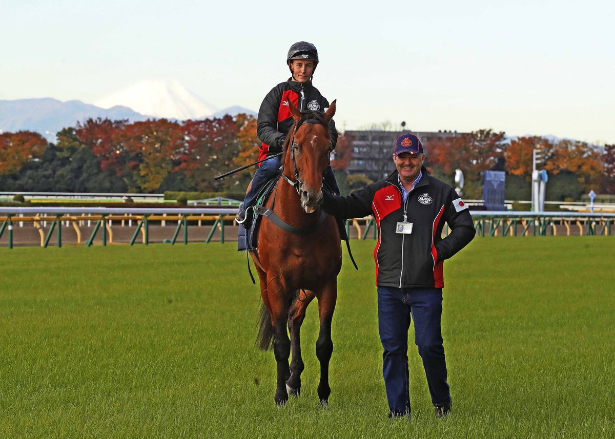lindsayparkrace's tweet photo. Boom Time’s time ⏰Japan Cup on @SkyRacingAU today 17.40 EST 💥 Cory Parish, David Hayes 🏔#JapanCup 🇯🇵 https://t.co/roOjjT9bTE