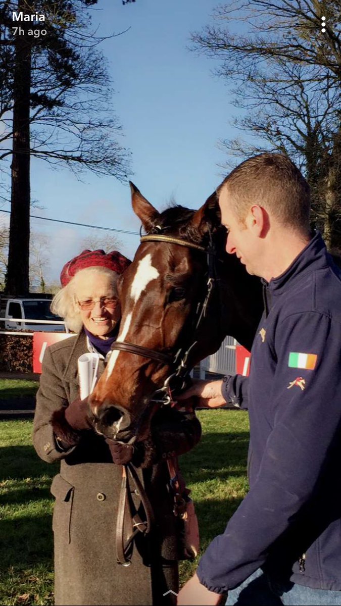 Mk8905's tweet photo. @WillieMullinsNH Min after his performance @GowranPark1 today. Taught you might like this snap, appreciation for an amazing race horse. ☺️ https://t.co/M402TBjONY