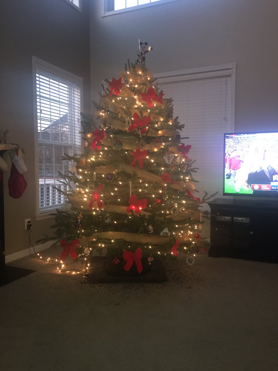 VLSFlorida's tweet photo. Getting there! #Tree1 https://t.co/t7bYX4iDQT