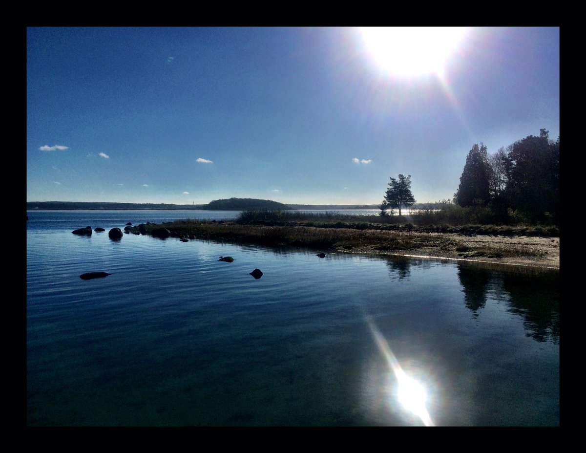 Steph Mizgala tweet media