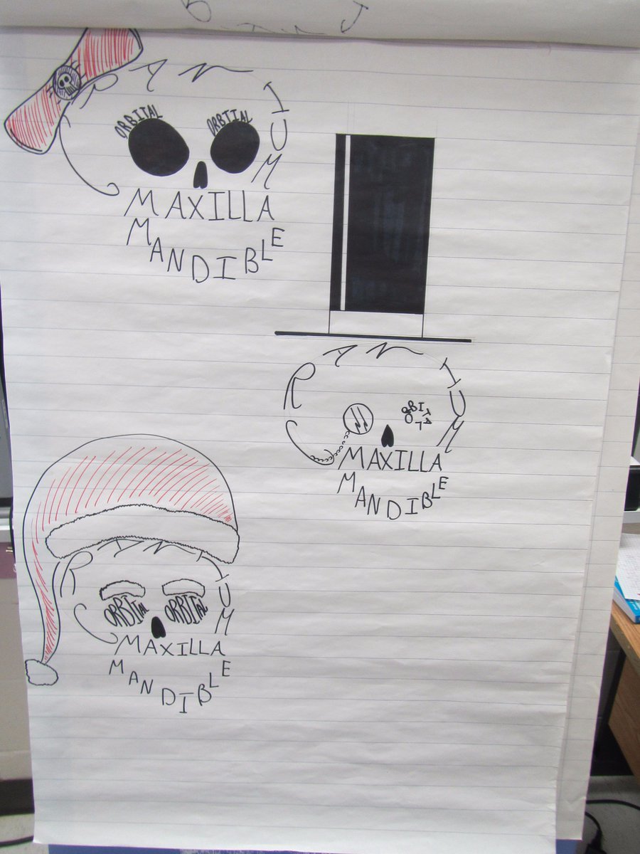 SebastienTeach's tweet photo. Learning about the human skeletal system, @StLukeOttawa's grade 6 classroom display their ability to locate, place and name the many bones of the human body! There's nothing "Humerus" about the level of progress seen here. https://t.co/eSlnwWSPyG