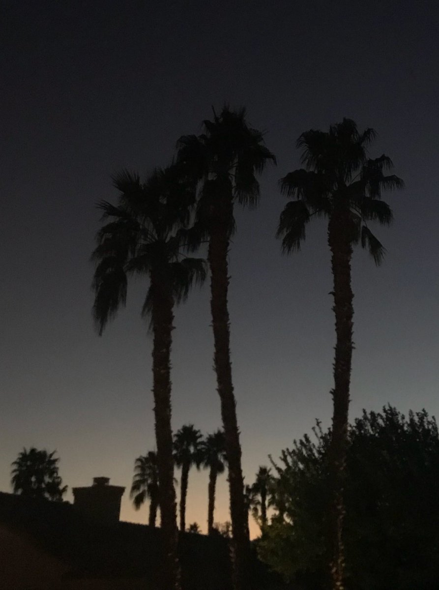 ChefRohan's tweet photo. Thankful for my daughter, thankful for family and friends. #thankful #PalmDesert #chefrohan #NYCtoPalmD https://t.co/hTmni6hlt5