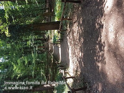 Scoprite l'#opinione diamante💎di RebelMe sulla riserva naturale "Foresta umbra"🌳bit.ly/2zbf19e