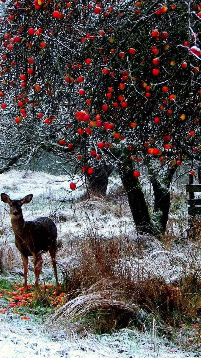 luthful7's tweet photo. @SarahSevenA @bettinaschroed5 @rosina_strebig @sulenaka @BylPortia @patti_novakoski @AWESOME_WORLD13 @sitaravirgo @Saffron606 @mieke_siegersma @HavelLolita @habelabbadi_com 🌹👌🍀 https://t.co/7aHK2wB9Hr