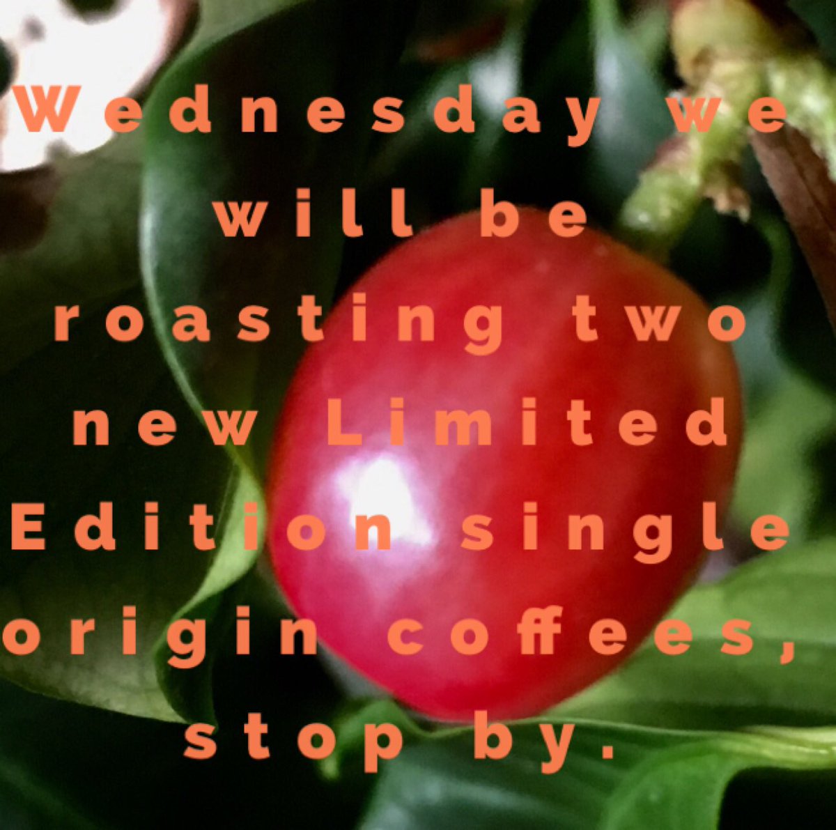 gothamroasters's tweet photo. #TextOnPhoto @theappholes https://t.co/GOURoozHfq #coffeelovers #coffee#espresso https://t.co/jT0ygKuUaF