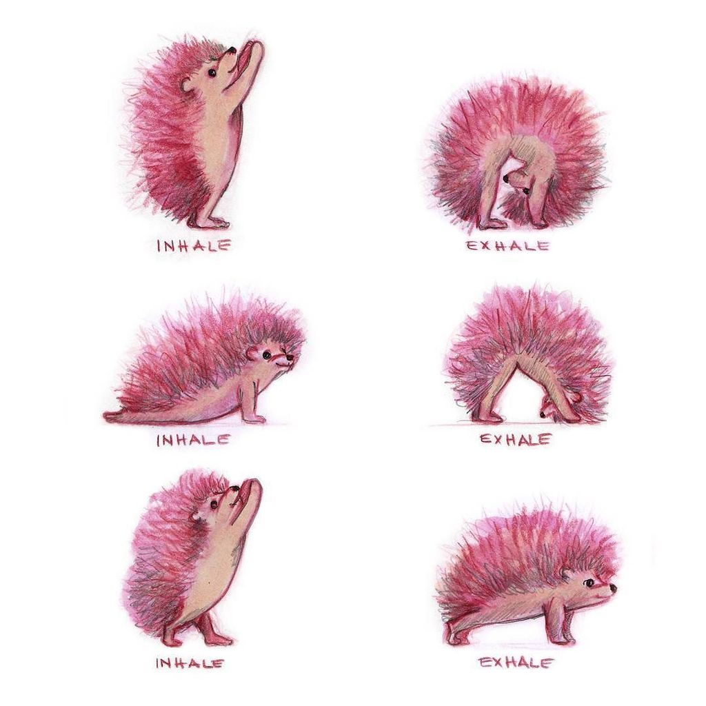 trickyTanya's tweet photo. Sun salutation
#illustration #hedgehogillustration #yogaillustration #sunsalutation #yoga #childrensillustration #colorsketch #yogasketch https://t.co/SYvohmcZRI https://t.co/g3aYUGzaZO