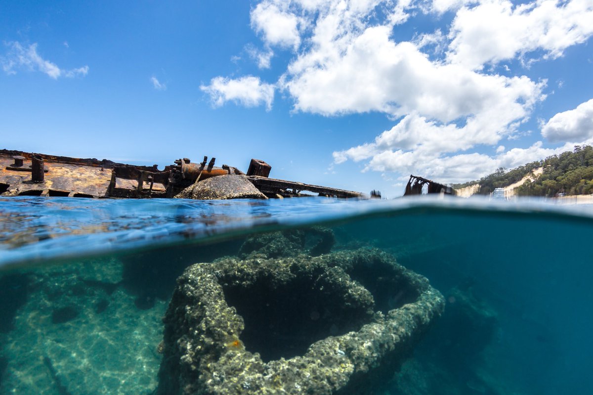 KyleRauPhoto's tweet photo. Always love swimming around the wrecks at @Tangalooma @CanonAustralia @Queensland @Australia @AquaTech_USA 
https://t.co/AWfhDuNIGz https://t.co/NynjuoYjMp